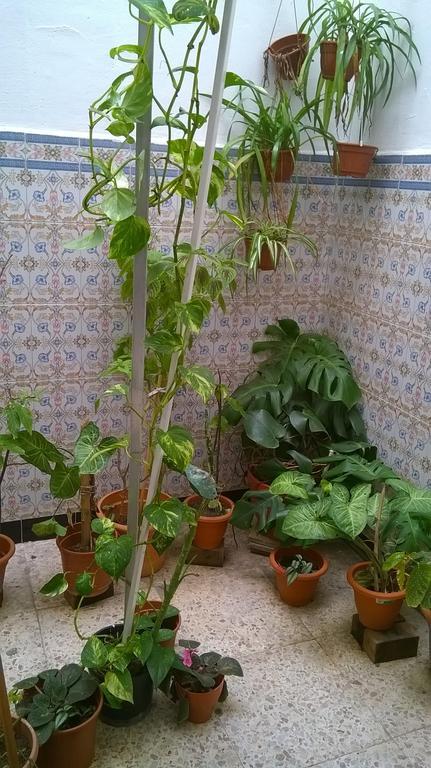 Casa Medina Sanaa Tetouan Ξενοδοχείο Εξωτερικό φωτογραφία